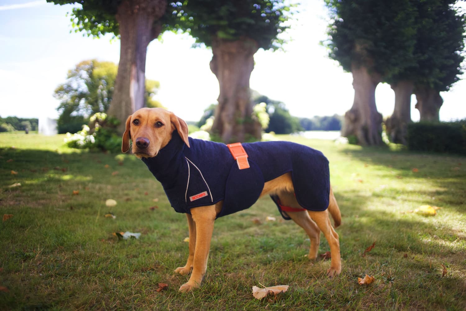 SupremePro 2.0 koiran kuivausloimi, 40 cm, Granit, view: 1