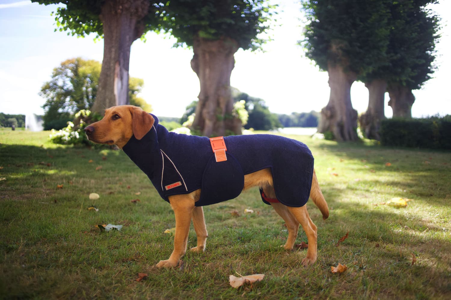 SupremePro 2.0 koiran kuivausloimi, 60 cm, Granit, view: 2