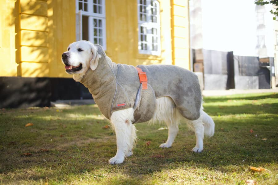 SupremePro 2.0 koiran kuivausloimi, 70 cm, vaaleanruskea, view: 1