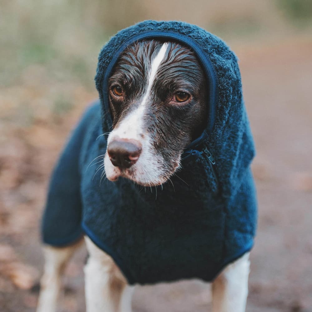 WetDog SupremePro koiran kylpytakki, M graniitinharmaa, view: 2