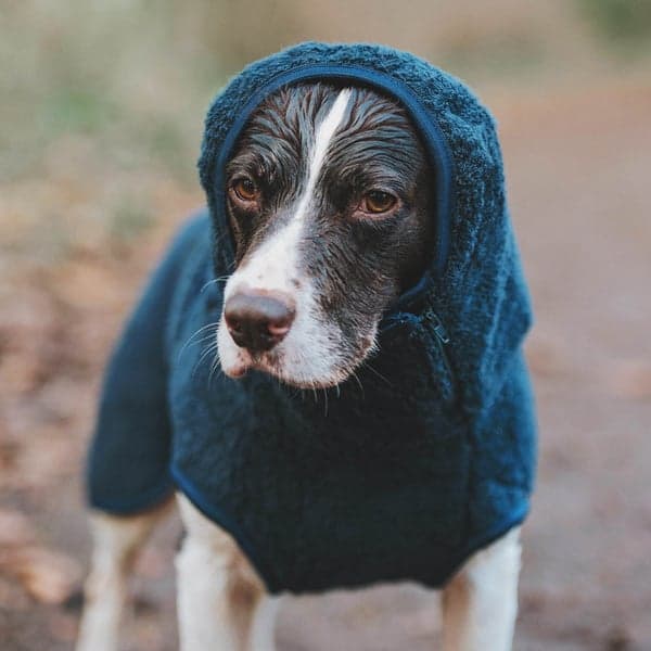 WetDog SupremePro koiran kylpytakki, M graniitinharmaa, view: 2