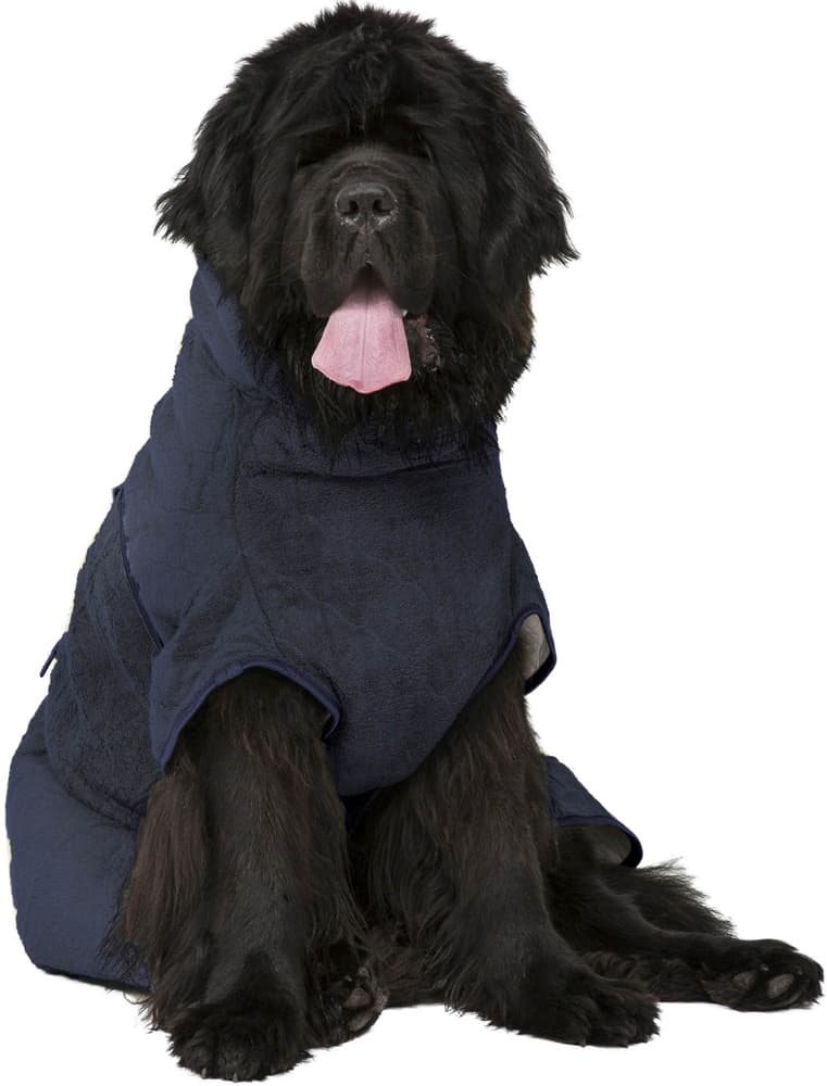 WetDog SupremePro koiran kylpytakki, XL graniitinharmaa, view: 2