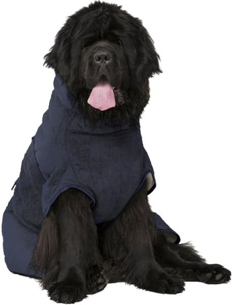 WetDog SupremePro koiran kylpytakki, XL graniitinharmaa, view: 2