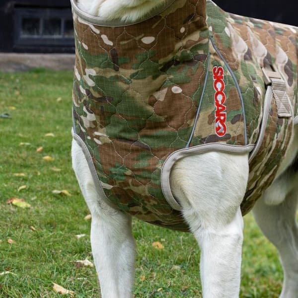 Spirit 2.0 Drying Robe kuivausloimi, 55 cm, New Camo, view: 1