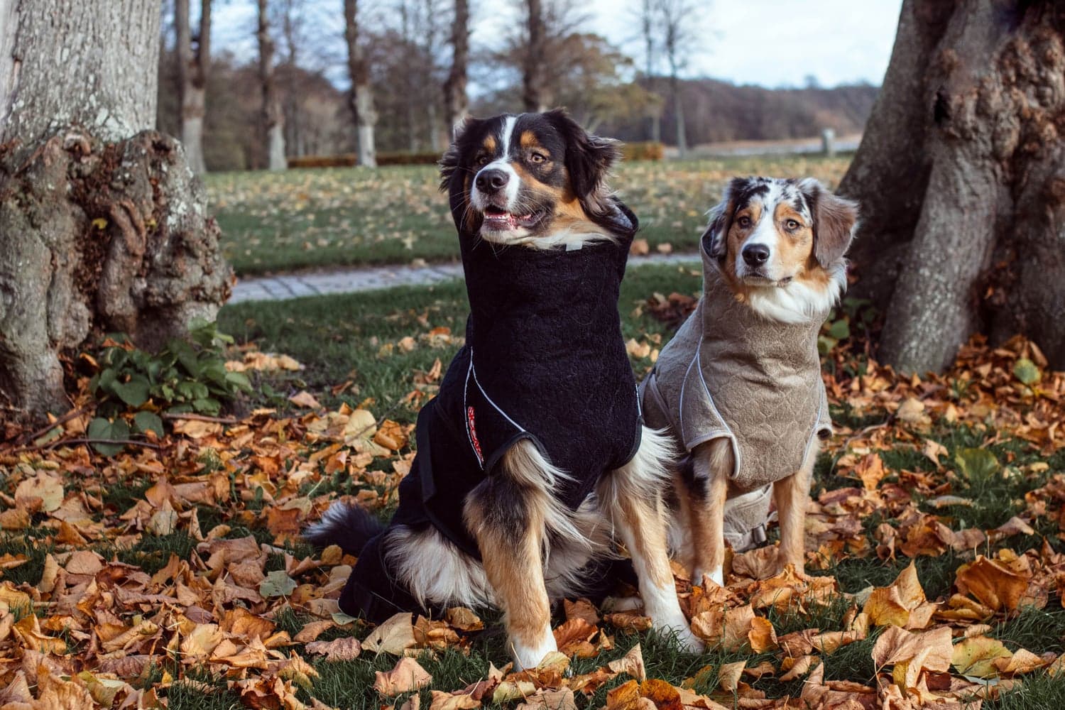 Solution kuivausloimi, Sand 70 (XXL), view: 4