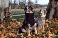 Solution kuivausloimi, Sand 70 (XXL) - view: 4