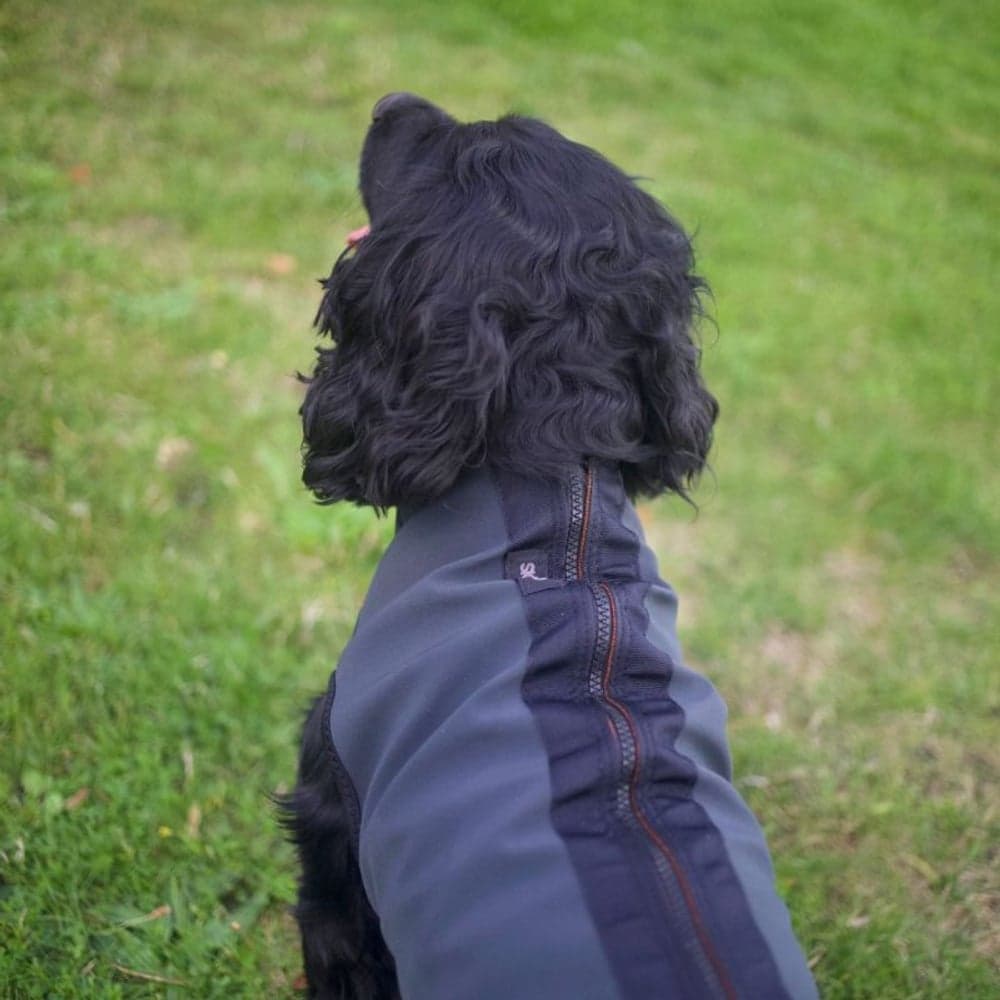 Pro-tect koiran lämpöheijastava liivi, view: 4