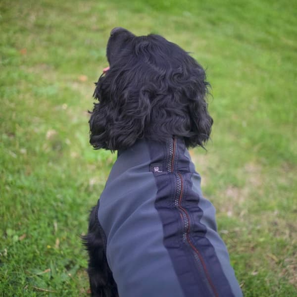 Pro-tect koiran lämpöheijastava liivi, view: 4