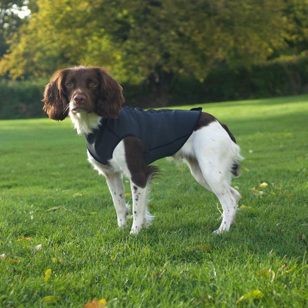 Pro-tect koiran lämpöheijastava liivi, view: 2