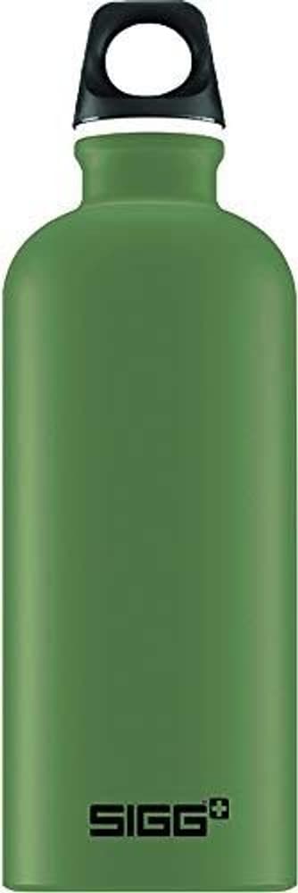 SIGG Traveller 0,6 L vihreä, view: 0