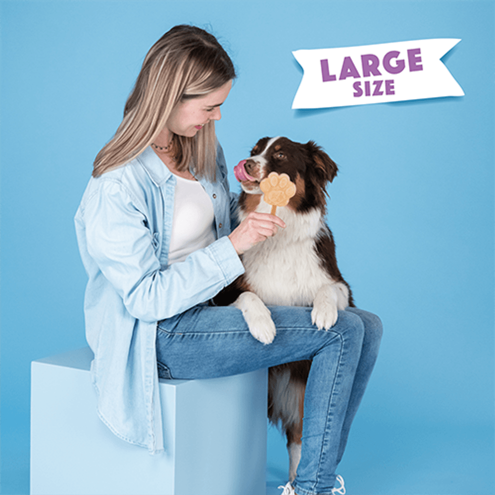 Dog Ice Form muotit koiran jäätelölle, L, view: 3