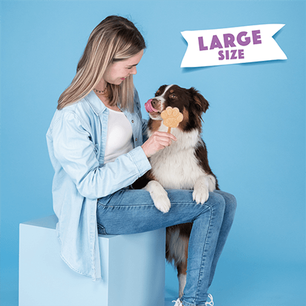 Dog Ice Form muotit koiran jäätelölle, L, view: 3