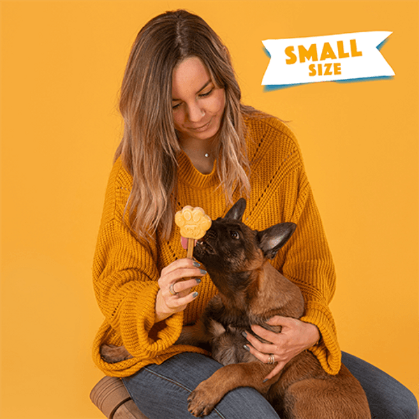 Dog Ice Form muotit koiran jäätelölle, S, view: 2