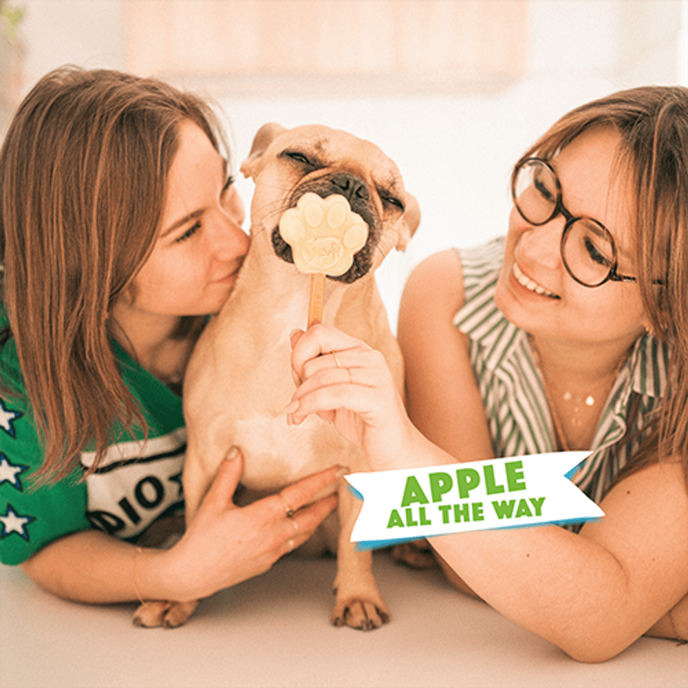 Dog Ice Mix koiran jäätelö,160 g, omena, view: 4