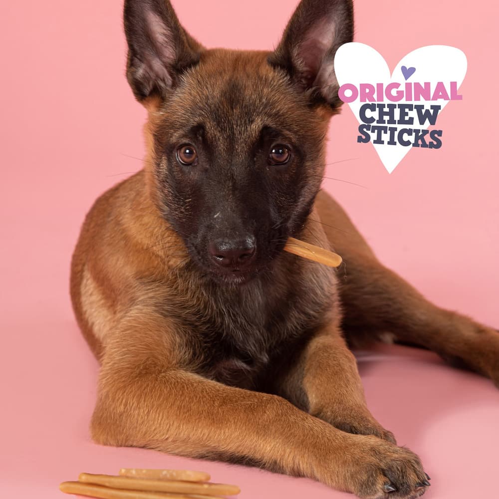 Chew Sticks Original syötävät purutikut koirien jäätelölle,10 kpl, view: 4