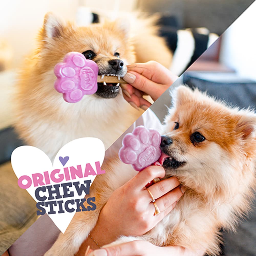 Chew Sticks Original syötävät purutikut koirien jäätelölle,10 kpl, view: 2