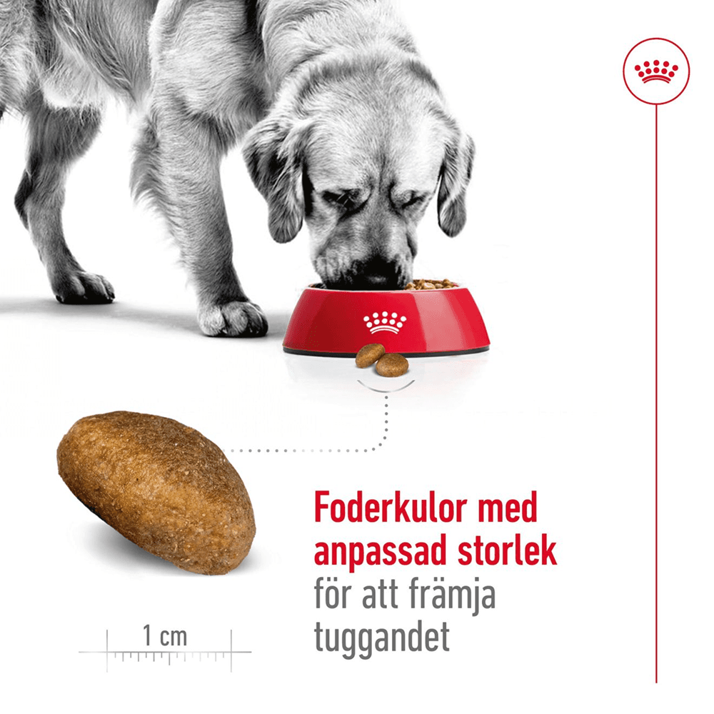 Maxi Adult 15 kg Suurille Koirille, view: 3