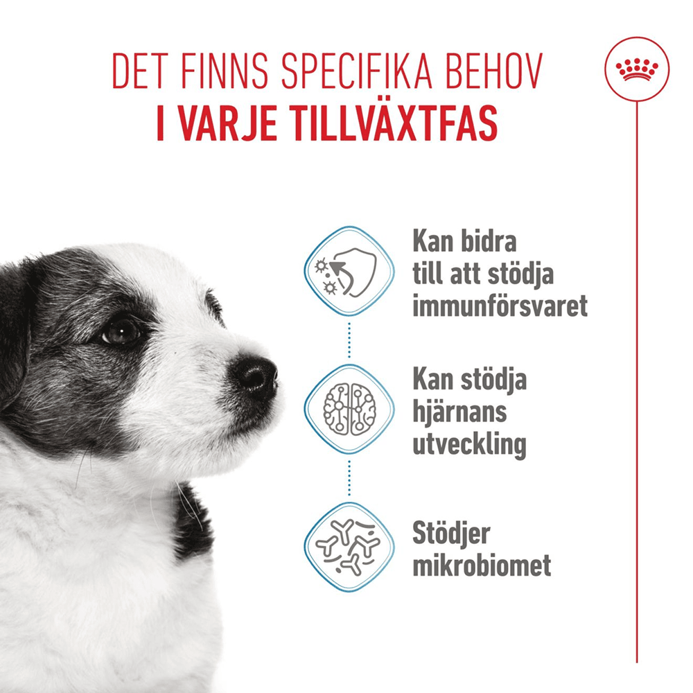 Mini Puppy 8 kg, view: 1