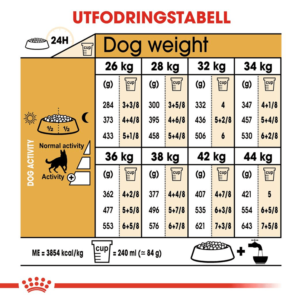 German Shepherd Adult 11 kg, view: 5