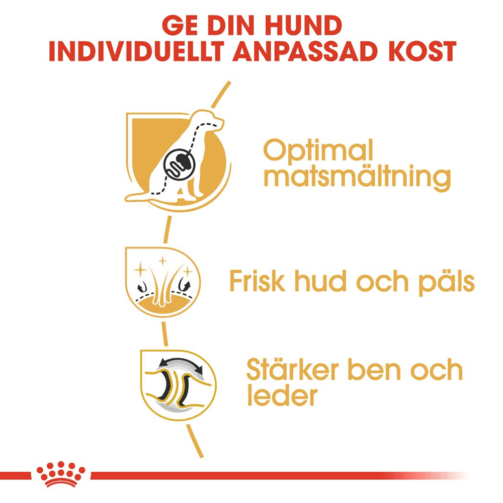 German Shepherd Adult 11 kg, view: 4