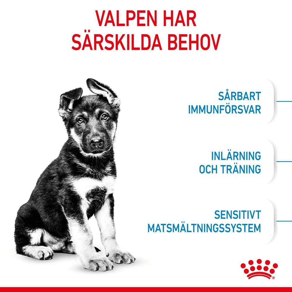 Maxi Puppy / Junior 15kg, view: 2