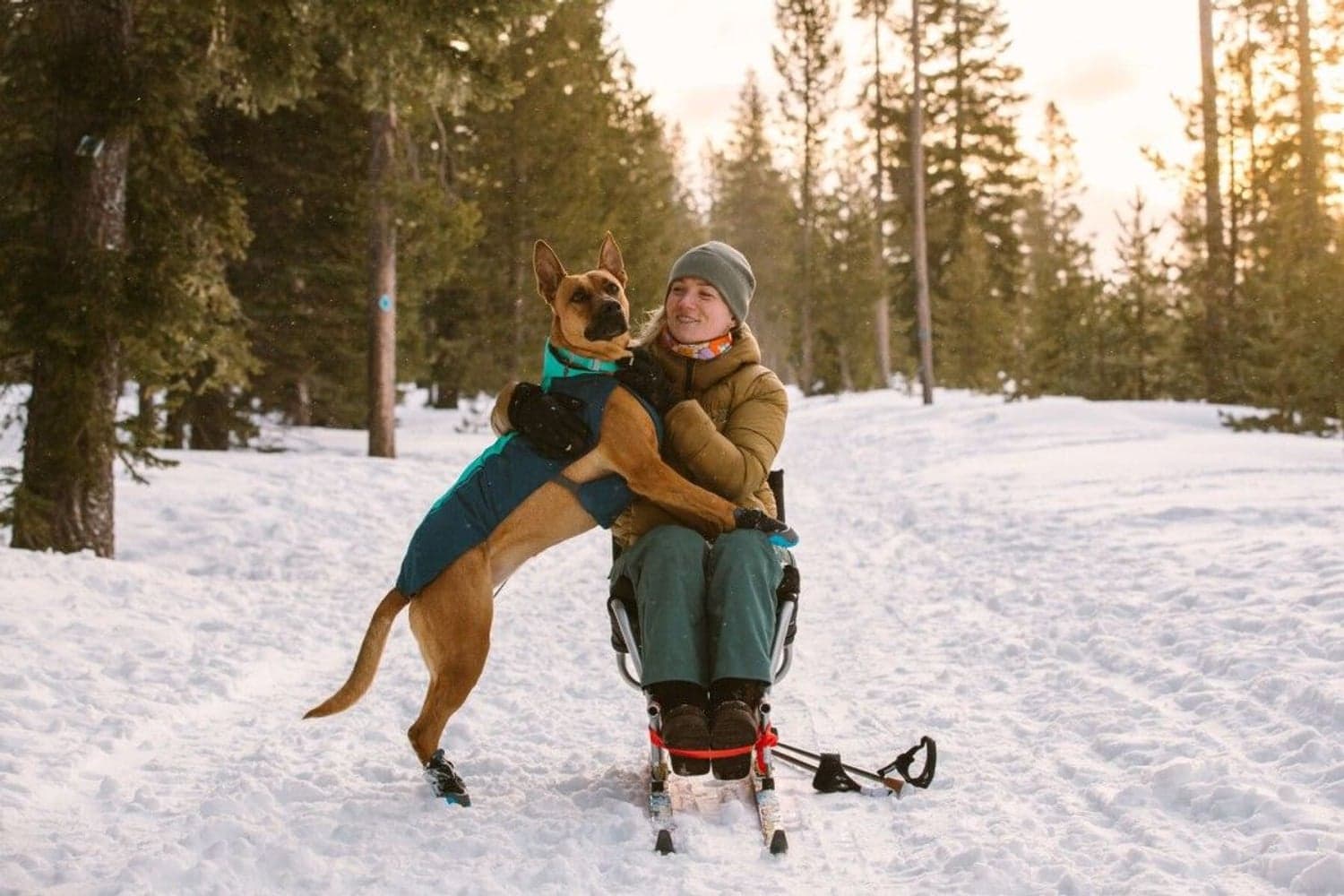 Vert koiran talvitakki, Aurora Teal, view: 5