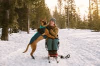 Vert koiran talvitakki, Aurora Teal - view: 5