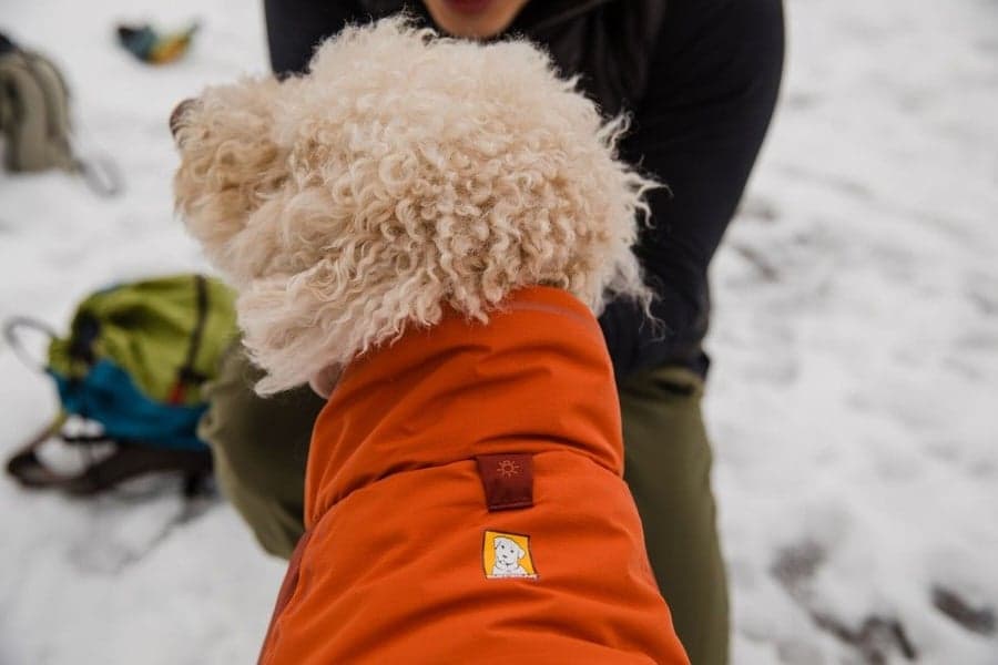 Vert koiran talvitakki, Canyonlands Orange, view: 5