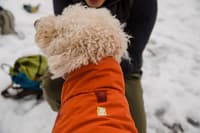 Vert koiran talvitakki, Canyonlands Orange - view: 5