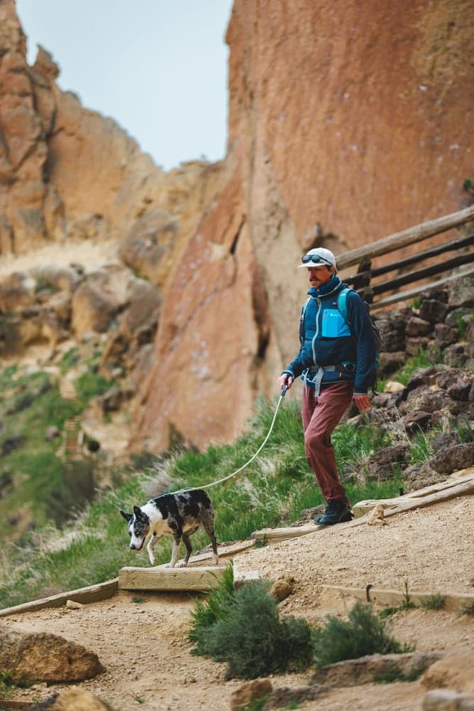 Knot-a-Leash koiran talutushihna, Obsidian Black, view: 6