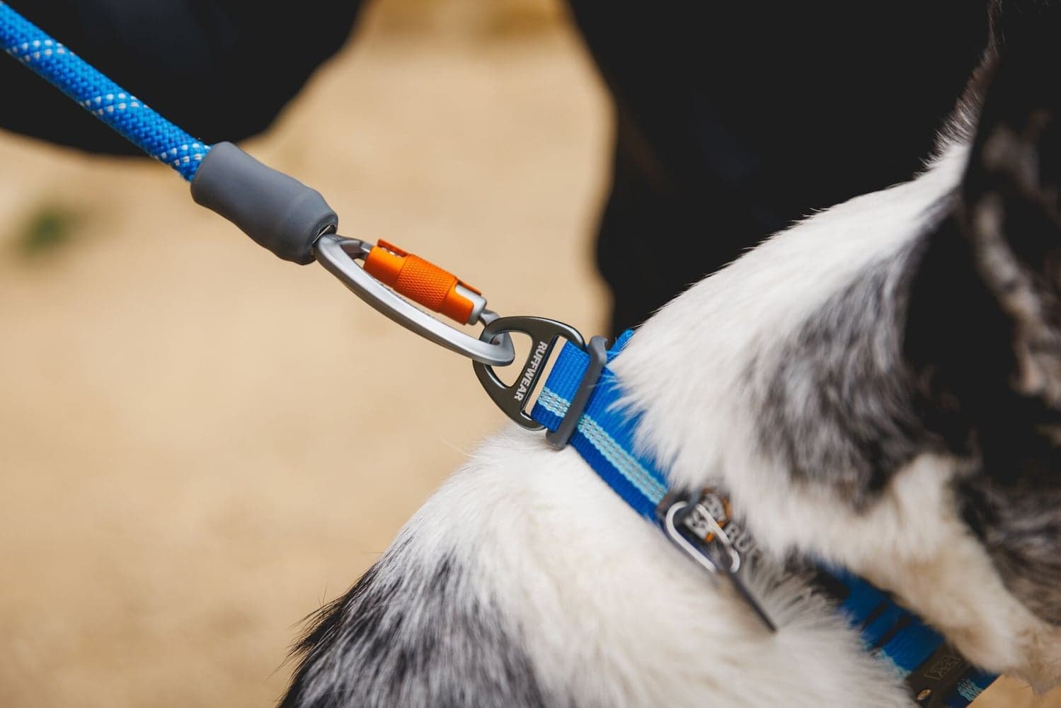 Knot-a-Leash koiran talutushihna, Obsidian Black, view: 5