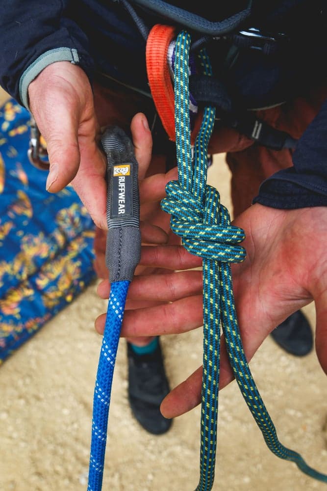 Knot-a-Leash koiran talutushihna, Obsidian Black, view: 7