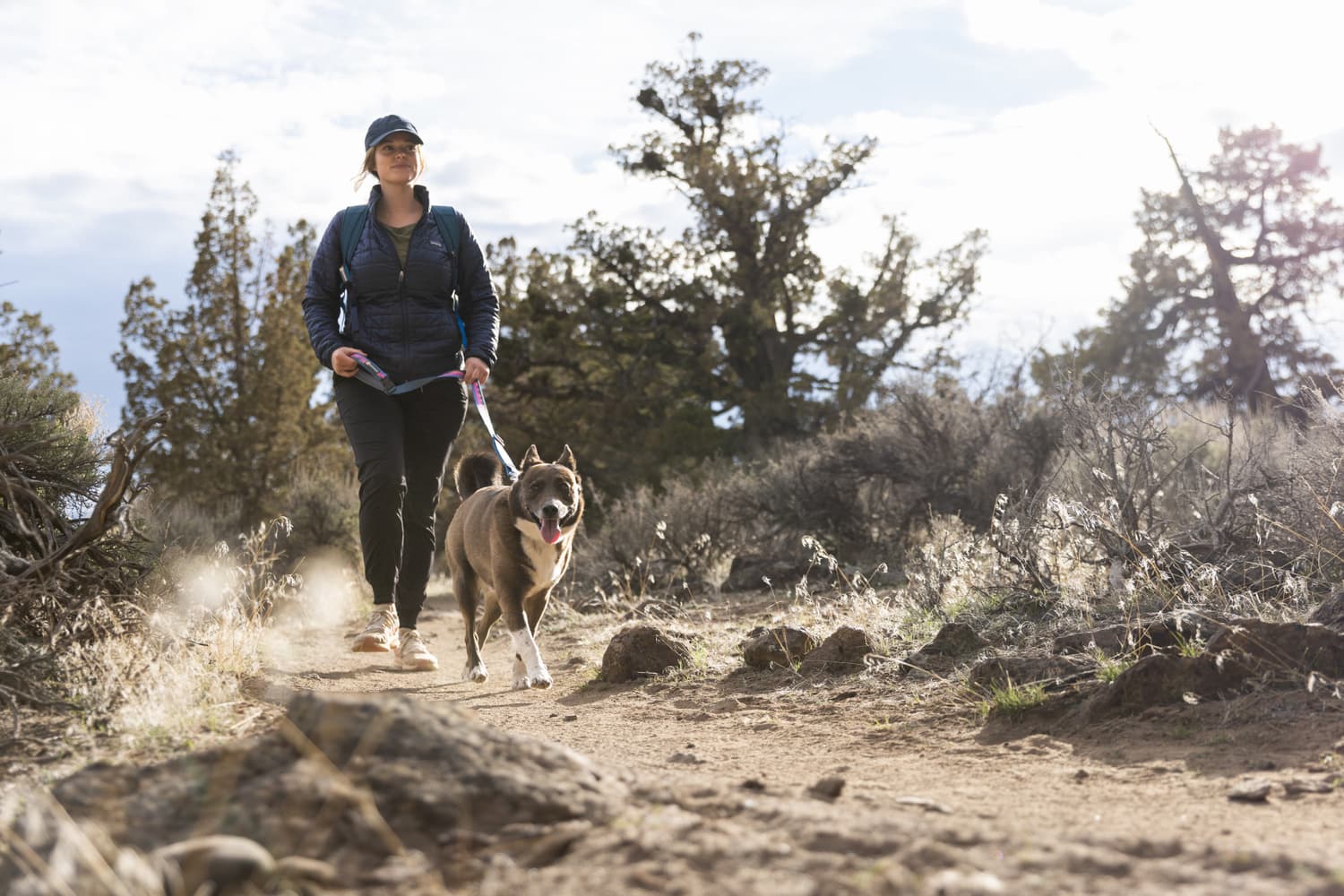 Crag Ex Leash koirien talutushihna, Alpine Dawn, view: 13