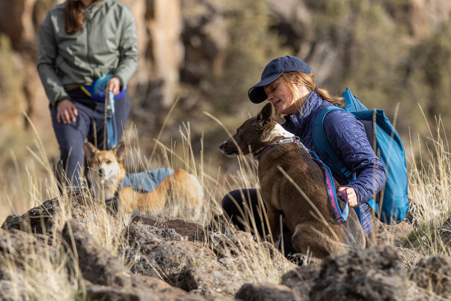 Crag Ex Leash koirien talutushihna, Alpine Dusk, view: 13