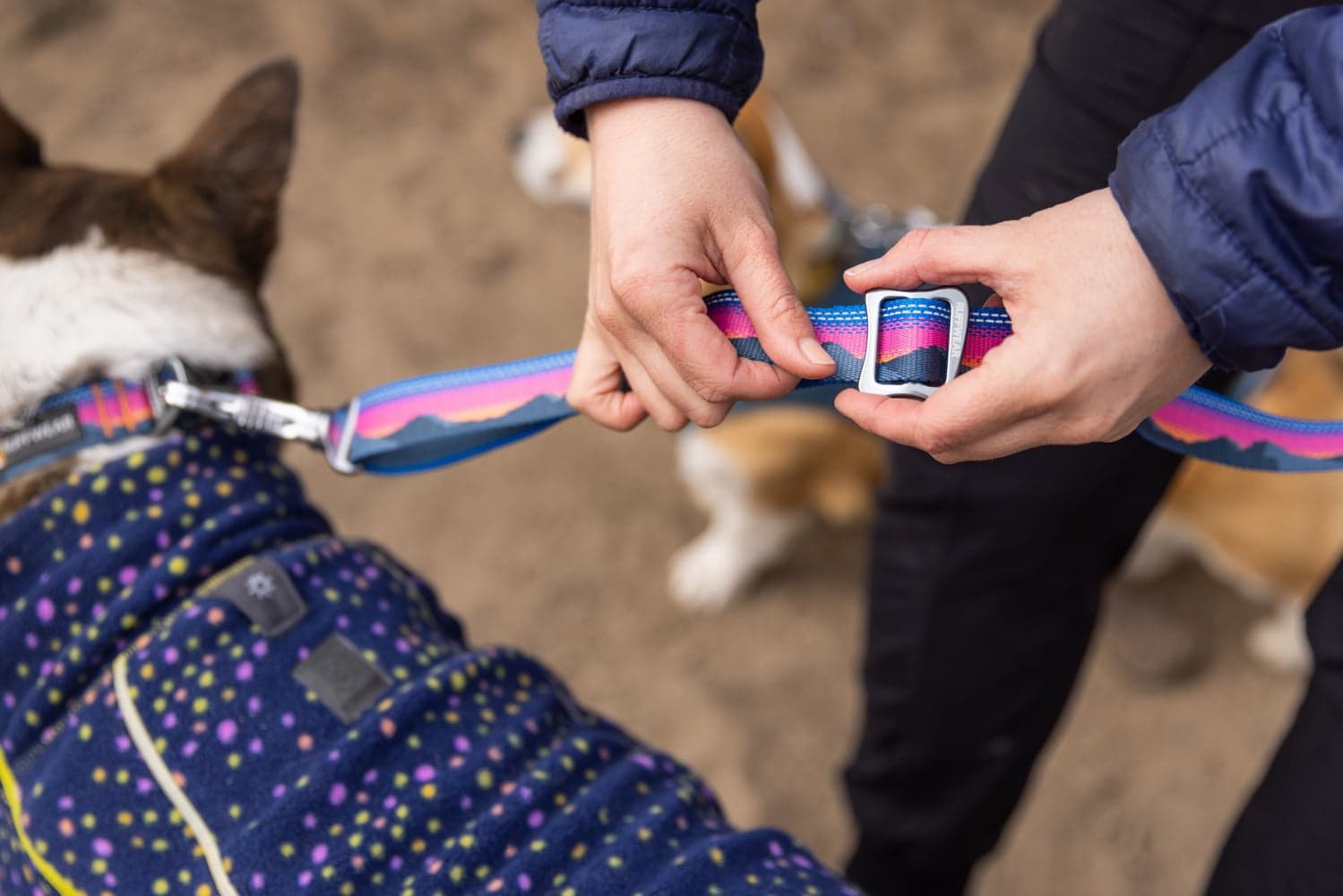 Crag Ex Leash koirien talutushihna, Alpine Dusk, view: 10