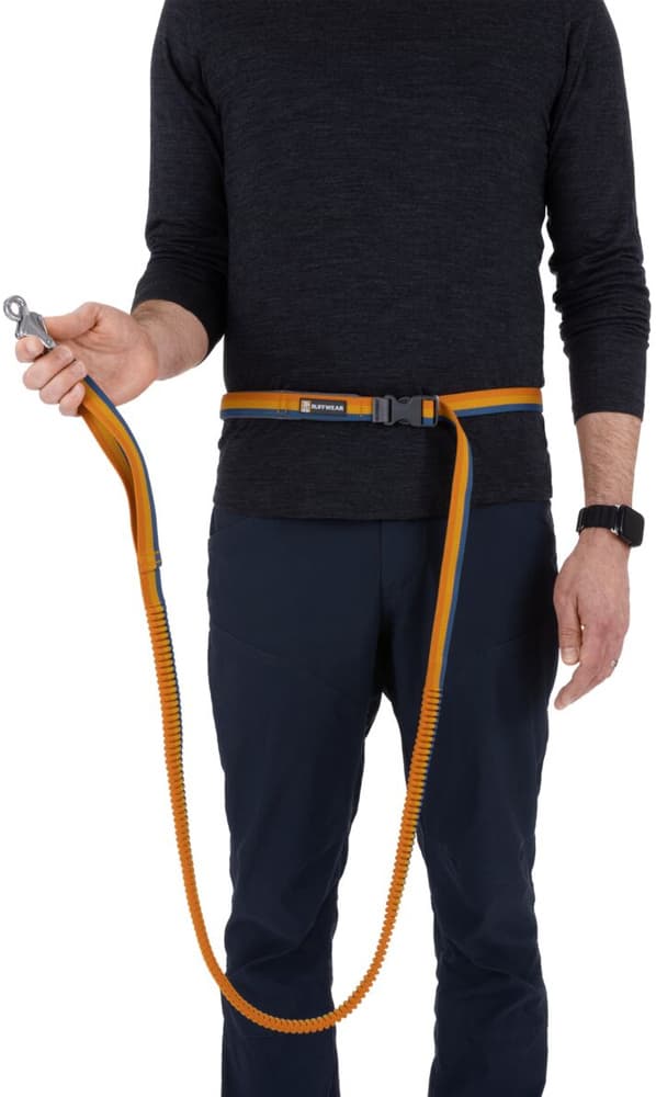 Roamer Leash joustava talutushihna, Yellow Snow, view: 6