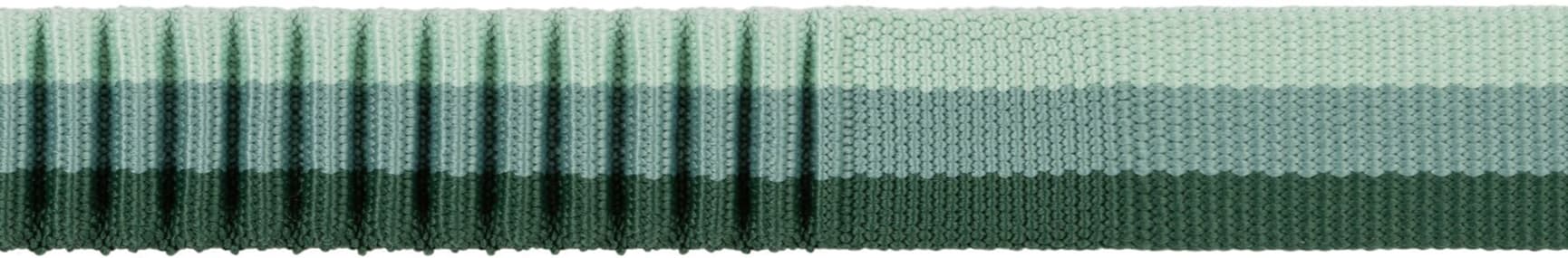 Roamer Leash joustava talutushihna, River Rock Green, view: 5