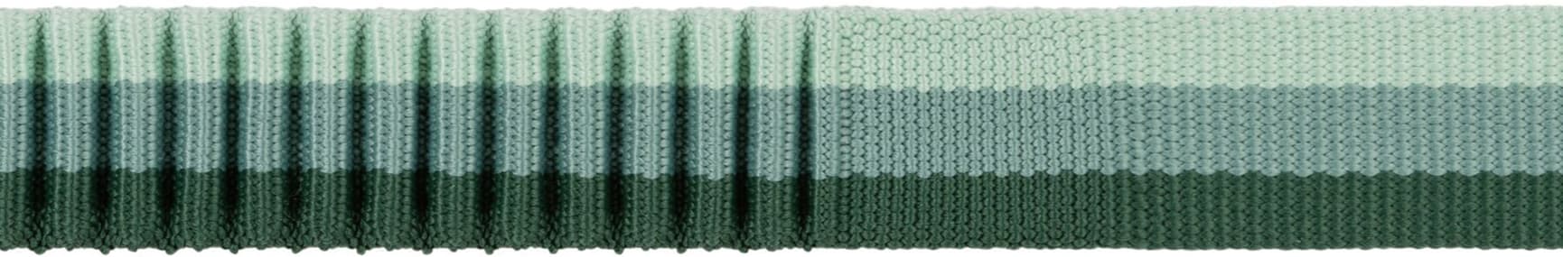 Roamer Leash joustava talutushihna, River Rock Green, view: 5