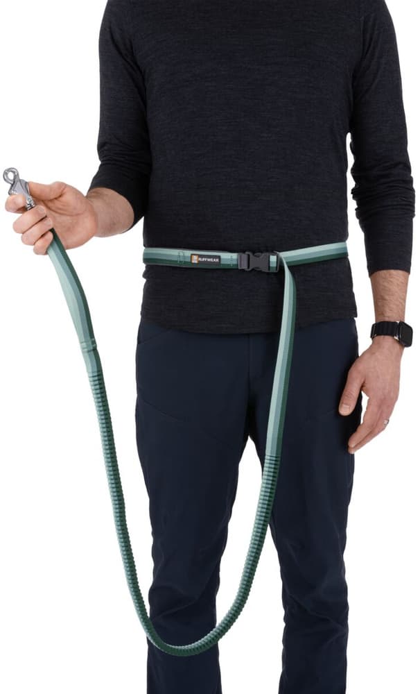 Roamer Leash joustava talutushihna, River Rock Green, view: 6