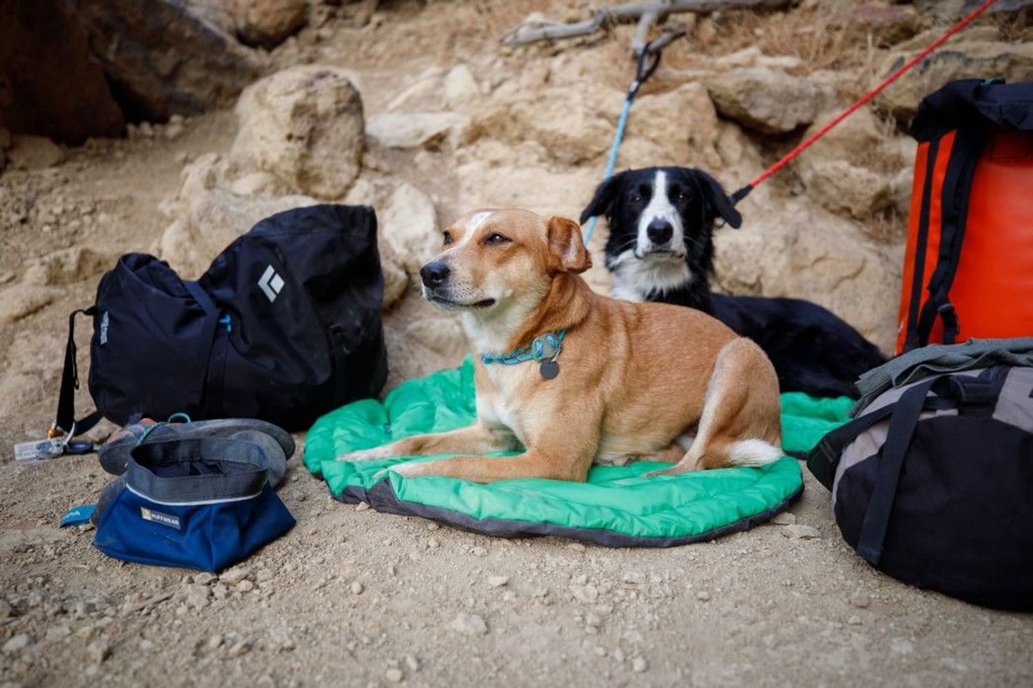Knot-a-Collar Blue Atoll, view: 3