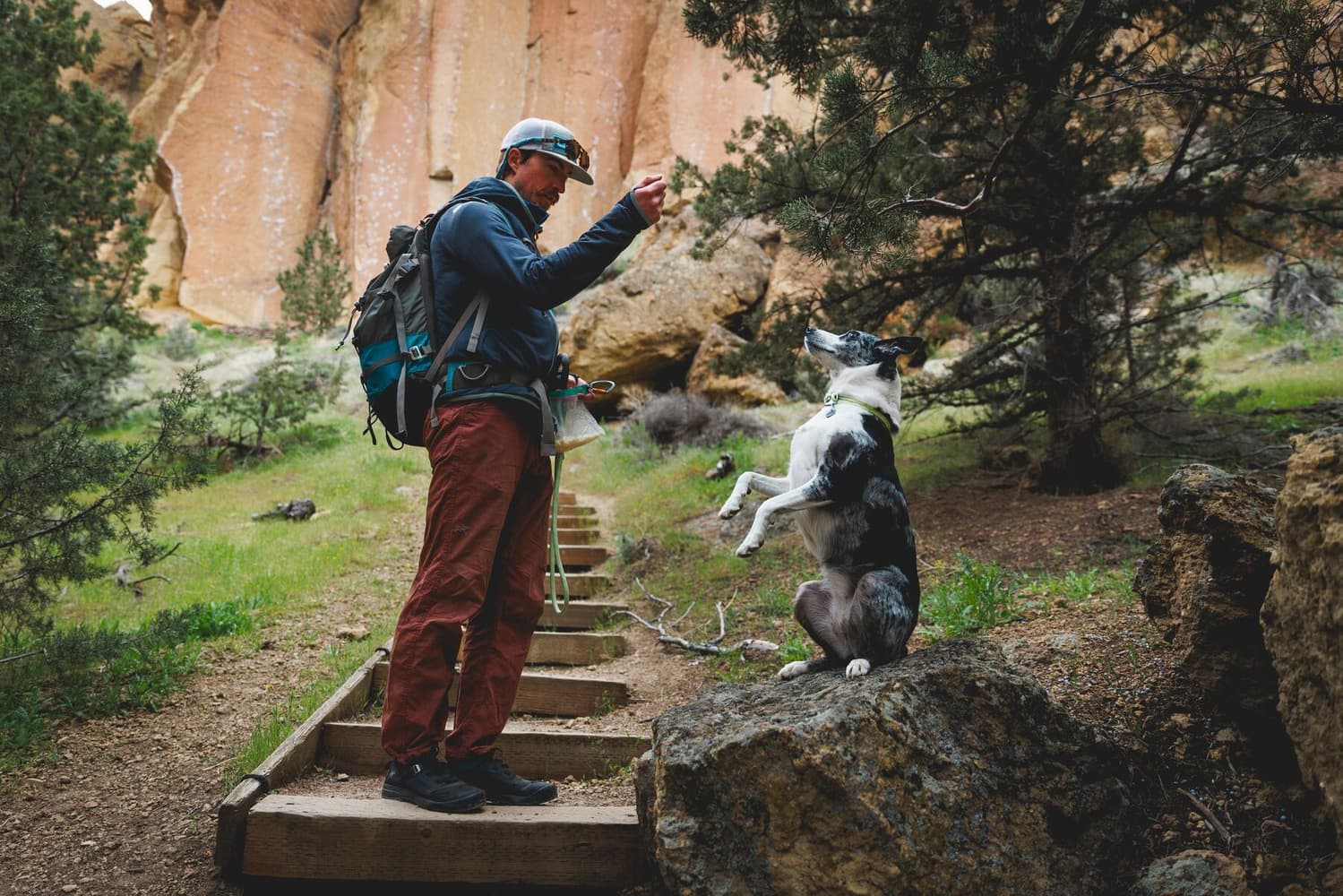 Knot-a-Collar koiran kaulapanta, Blue Pool, view: 4