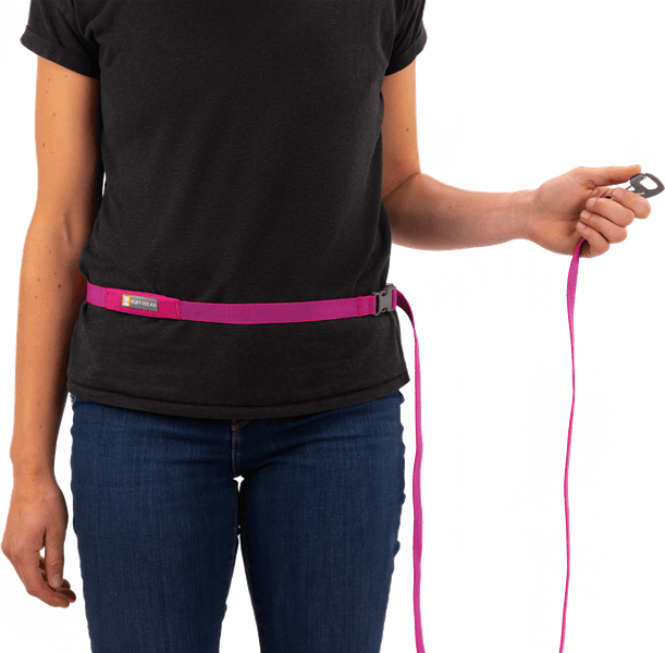 Flagline Leash talutushihna, harmaa, view: 3