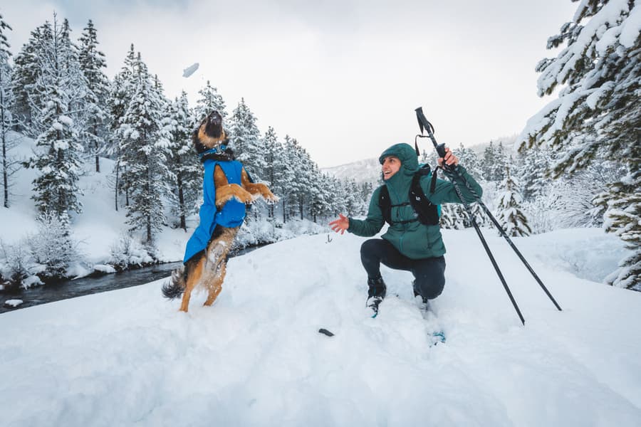 Vert Jacket koiran takki, M-XL, Blue Pool, view: 6