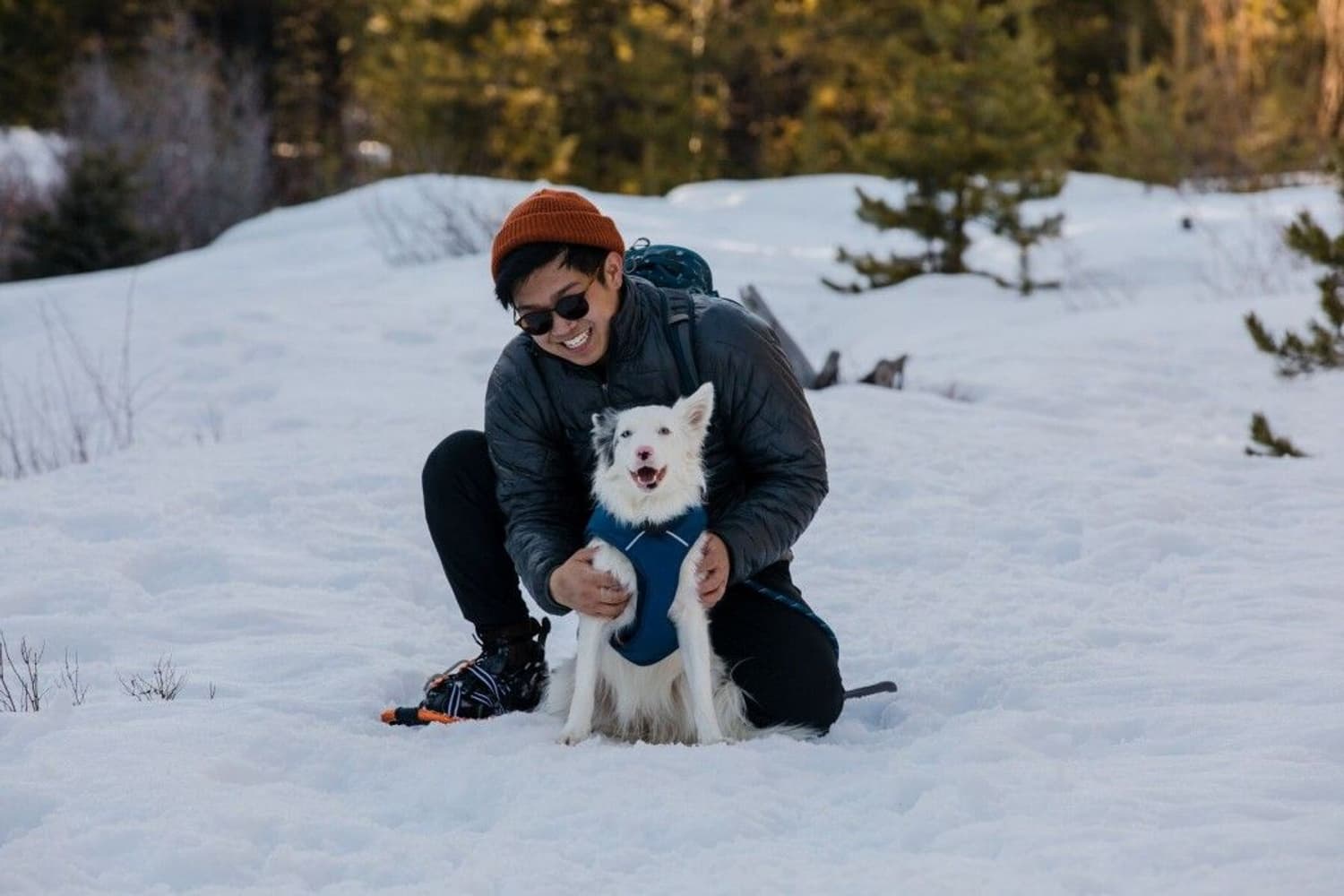 Quinzee Jacket koiran takki, sininen, view: 7