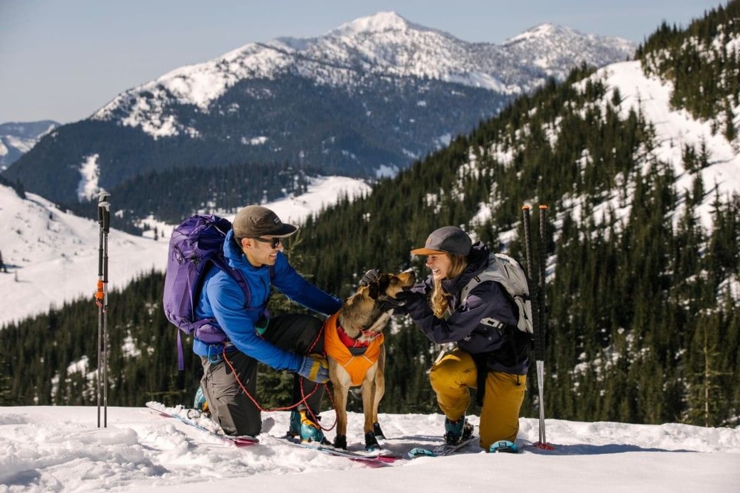 Quinzee Jacket koiran takki, oranssi, view: 4