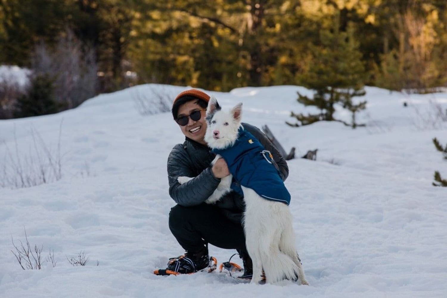 Quinzee Jacket koiran takki, sininen, view: 8