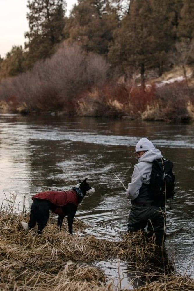 Quinzee Jacket koiran takki, oranssi, view: 7