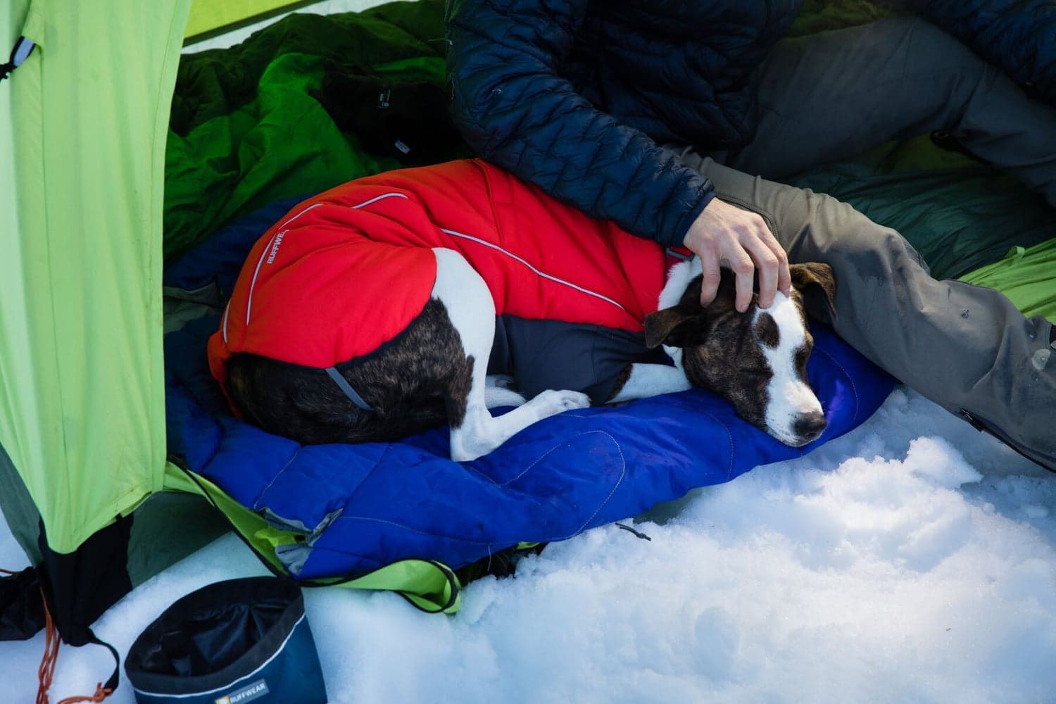 Furness Jacket koiran talvitakki, Red Sumac, view: 5