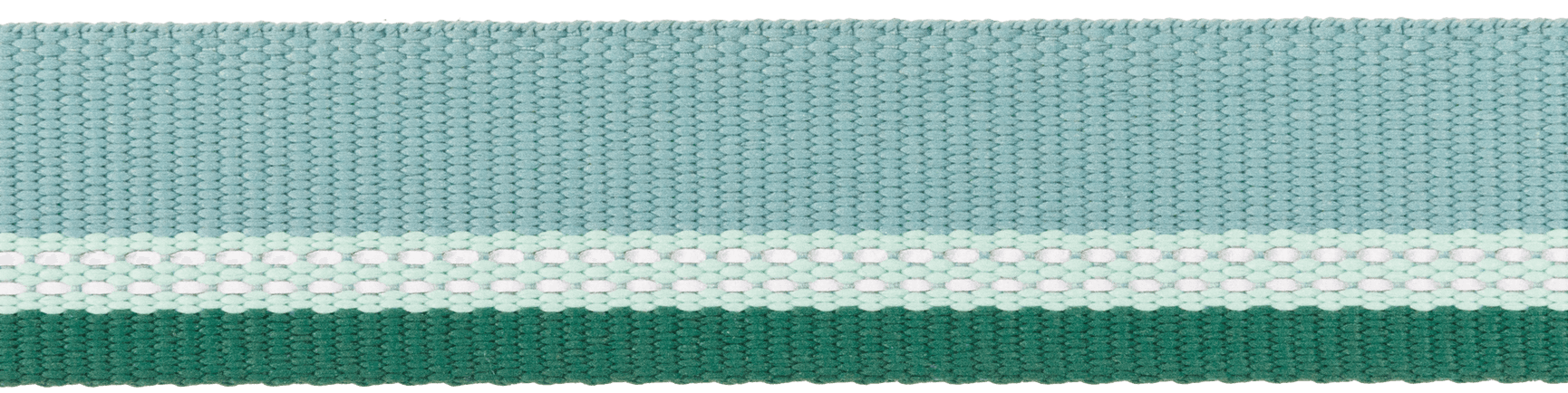 Top Rope Collar koiran kaulapanta, River Rock Green, view: 2