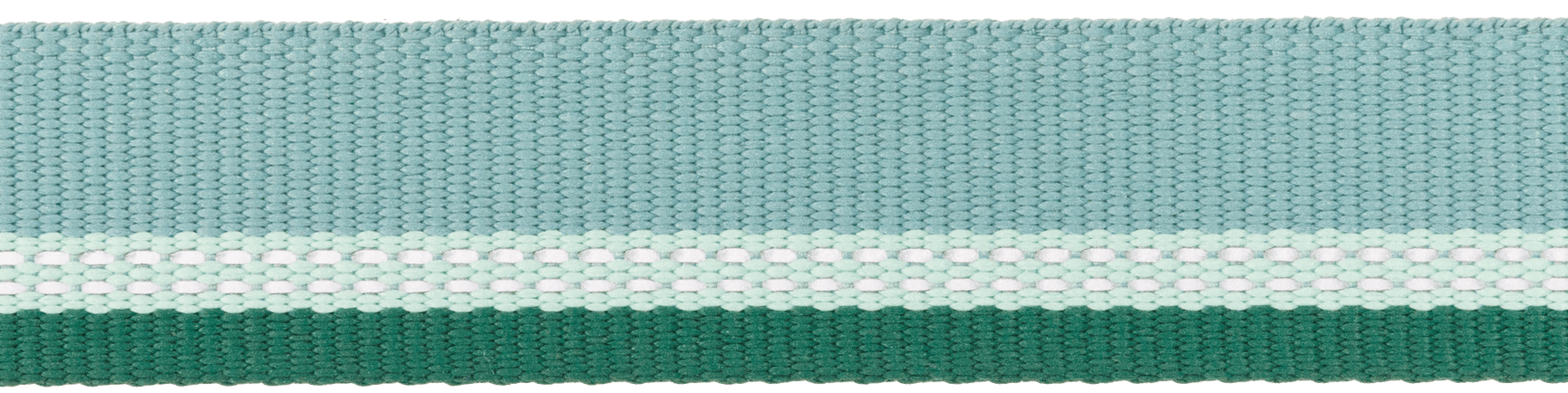 Top Rope Collar koiran kaulapanta, River Rock Green, view: 2